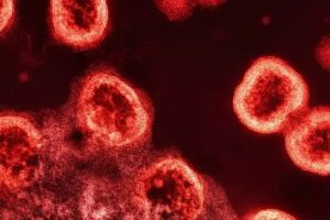 51-കാരൻ AIDS മുക്തനായി; HIV പ്രതിരോധ സ്റ്റെം സെൽ ഉപയോഗിച്ചില്ല, എന്നിട്ടും രോഗമുക്തി നേടുന്ന രണ്ടാമത്തെ ആൾ