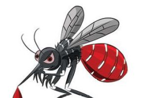 സൂക്ഷിക്കണം... മന്തുണ്ട്; നടപടി ഊർജിതമാക്കി വെക്ടർ കൺട്രോൾ യൂണിറ്റ്