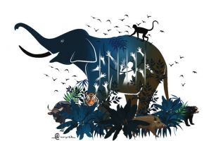 വന്യജീവി ആക്രമണം: അഞ്ചു വർഷത്തിൽ തൃശ്ശൂരിൽ കൊല്ലപ്പെട്ടത് 57 പേർ