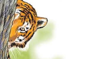 കടുവകളുടെ പ്രജനനകാലം: ജാഗ്രതാ അറിയിപ്പുമായി വനംവകുപ്പ്