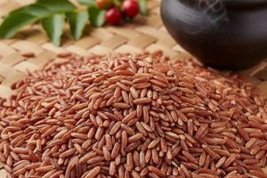 രക്തശാലി അരി: ആരോഗ്യത്തിൻ്റെയും ഔഷധഗുണങ്ങളുടെയും നിധി : പത്മനാഭൻ കണ്ണമ്പ്രത്ത്