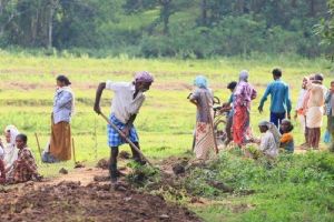 പ്രതിപക്ഷ പ്രതിഷേധങ്ങൾ വിഫലം; വിബിജി റാം ജി ബിൽ നിയമമായി, ഒപ്പുവെച്ച് രാഷ്ട്രപതി