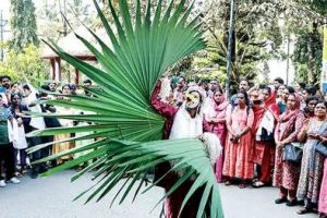 വൈബായി വയനാടൻ വെൽനെസ്