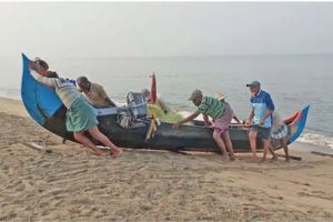 തീരക്കടലിൽ മത്സ്യ ലഭ്യതക്കുറവ് തൊഴിലാളികൾ സാമ്പത്തിക പ്രതിസന്ധിയിൽ