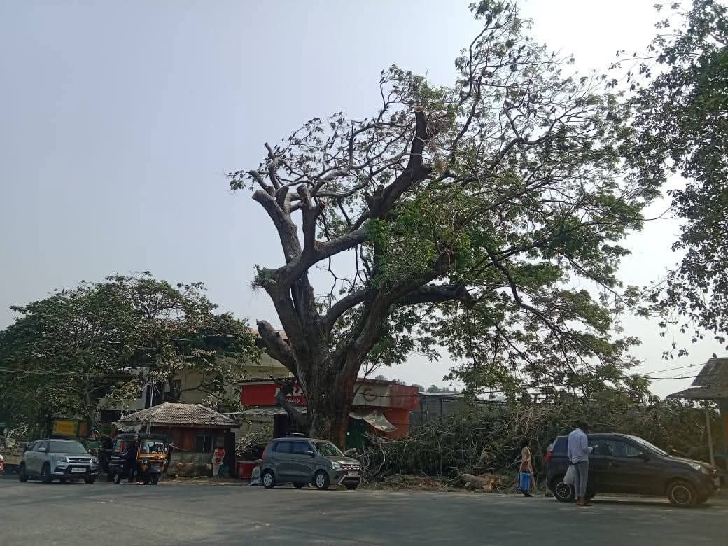 whatsapp-image-2026-01-07-at-9.26.53-am