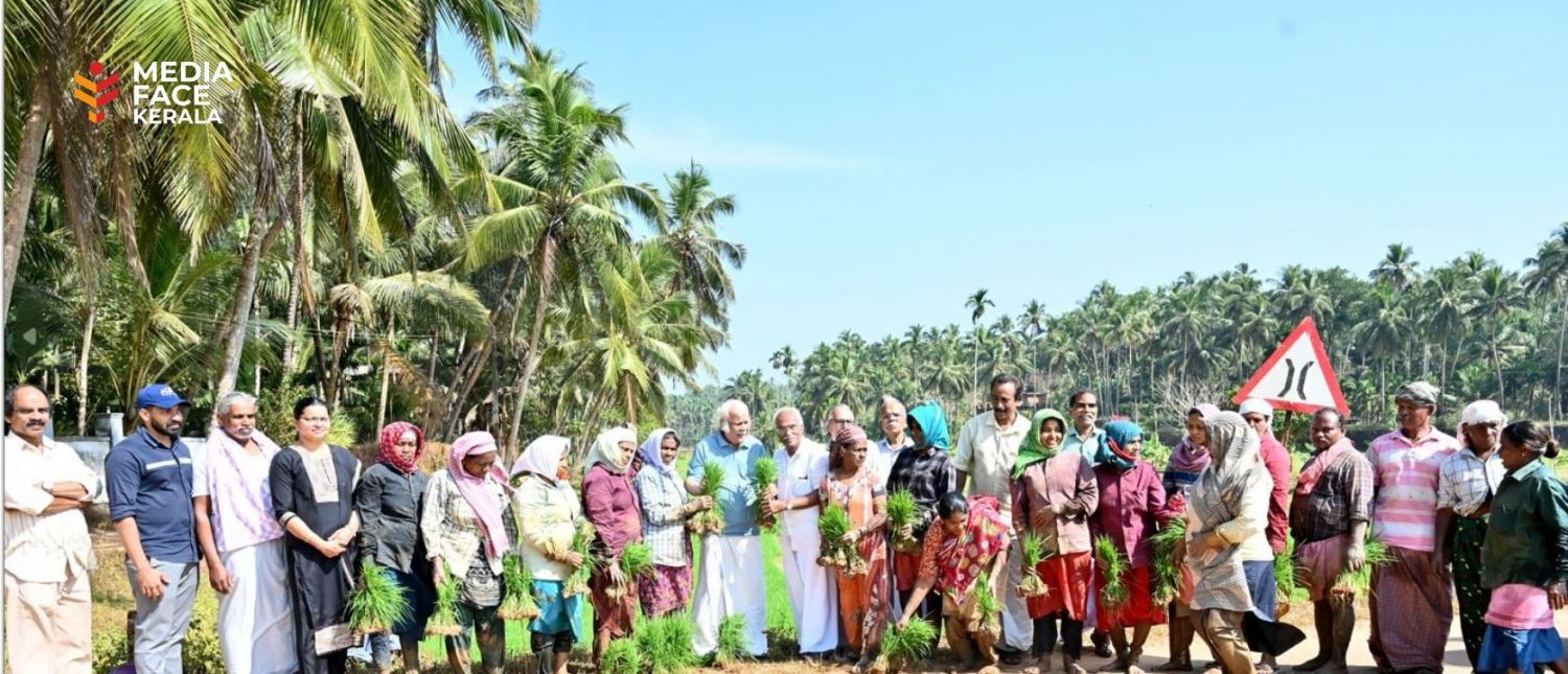 ശുദ്ധമായ ഭക്ഷണം ജന്മാവകാശം: കോഴിക്കോട് ജില്ലയിൽ ജൈവ നെൽകൃഷിക്ക് ഉജ്ജ്വല തുടക്കം