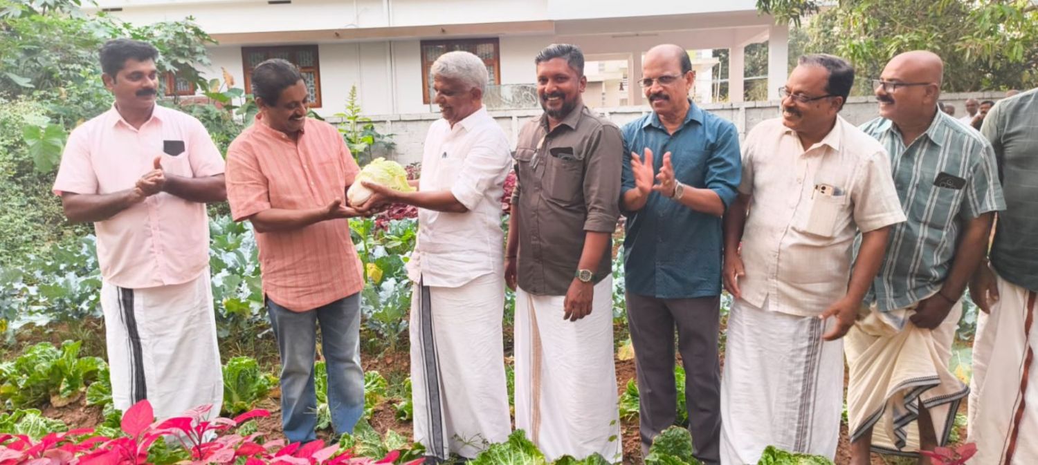 ശീതകാല പച്ചക്കറി വിളവെടുത്തു.