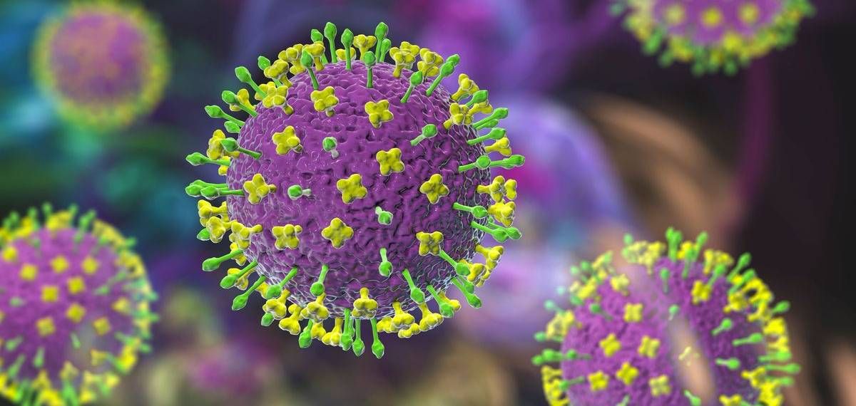 പശ്ചിമബംഗാളില്‍ നിപ; രണ്ട് നഴ്‌സുമാര്‍ക്ക് രോഗബാധ സ്ഥിരീകരിച്ചു, നില ഗുരുതരം