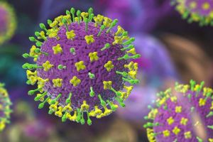 പശ്ചിമബംഗാളില്‍ നിപ; രണ്ട് നഴ്‌സുമാര്‍ക്ക് രോഗബാധ സ്ഥിരീകരിച്ചു, നില ഗുരുതരം