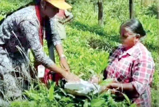 റിപ്പബ്ലിക് ദിനത്തിൽ ഇന്ദ്രാണി രാഷ്ട്രപതിഭവന്റെ അതിഥിയാവും