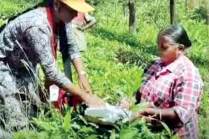 റിപ്പബ്ലിക് ദിനത്തിൽ ഇന്ദ്രാണി രാഷ്ട്രപതിഭവന്റെ അതിഥിയാവും