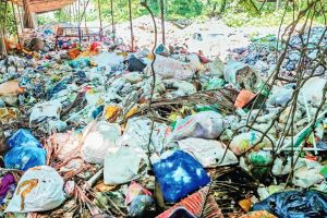 ഹരിതകർമസേനാ യൂസർഫിയെച്ചൊല്ലി ആശയക്കുഴപ്പം; പണമടച്ചില്ലെങ്കിൽ പിഴ ഒടുക്കേണ്ടിവരും