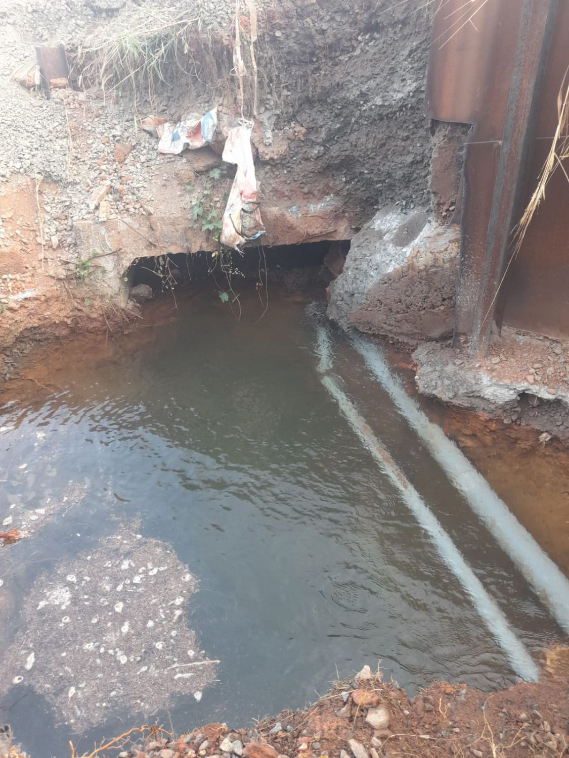 whatsapp-image-2026-01-26-at-7.11.43-pm