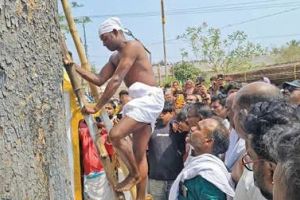 മതസാഹോദര്യത്തിൻ്റെ തിരിതെളിയിച്ച് താണിമരത്തിൽ പാലും മുട്ടയും സമർപ്പണം
