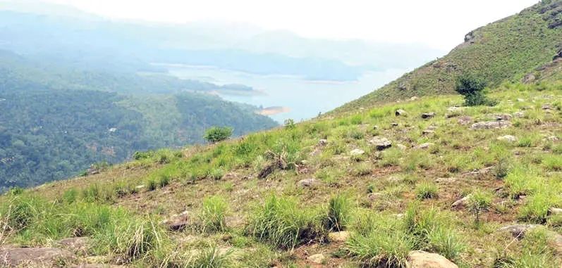 ടൂറിസം ഹബ്ബാകാൻ കട്ടപ്പന