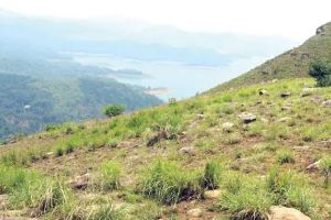 ടൂറിസം ഹബ്ബാകാൻ കട്ടപ്പന