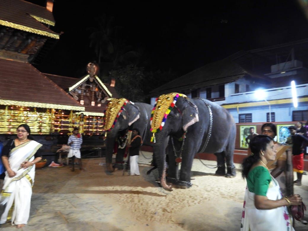 whatsapp-image-2026-01-29-at-10.04.42-am