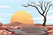 വേനൽ വരുന്നു;കനാലുകളുടെ വിവരങ്ങൾ ശേഖരിക്കണം-ജില്ലാ വികസനസമിതി