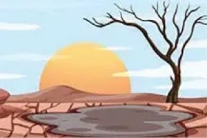 വേനൽ വരുന്നു;കനാലുകളുടെ വിവരങ്ങൾ ശേഖരിക്കണം-ജില്ലാ വികസനസമിതി