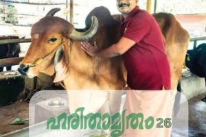 എഞ്ചിനീയറിംഗ് ജോലി ഉപേക്ഷിച്ചു നാടൻ പശുക്കൾക്കൊപ്പം; ഹരിതാമൃതം പുരസ്കാരം എസ്.ആർ. ശ്യാംകുമാറിന്