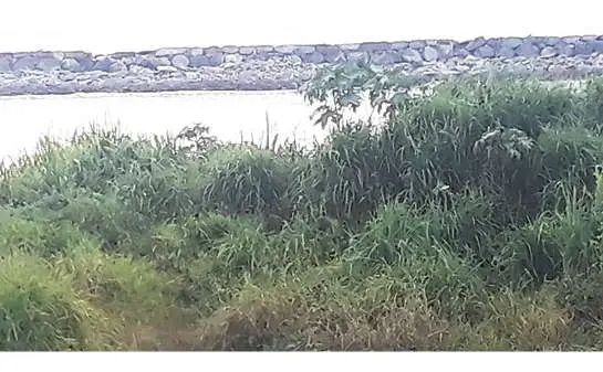 മാഹി മീൻപിടിത്ത തുറമുഖം: പ്രവൃത്തി മൂന്നുമാസത്തിനകം തുടങ്ങും