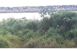 മാഹി മീൻപിടിത്ത തുറമുഖം: പ്രവൃത്തി മൂന്നുമാസത്തിനകം തുടങ്ങും