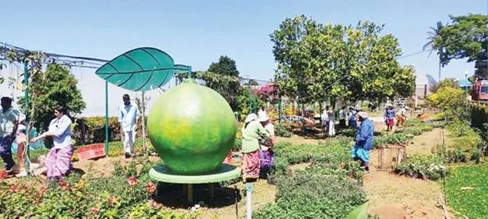 നെല്ലിയാമ്പതി ഓറഞ്ച് ഫാമിൽ അഗ്രി ഹോർട്ടി ടൂറിസം മേള ഇന്നുമുതൽ