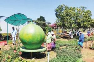 നെല്ലിയാമ്പതി ഓറഞ്ച് ഫാമിൽ അഗ്രി ഹോർട്ടി ടൂറിസം മേള ഇന്നുമുതൽ