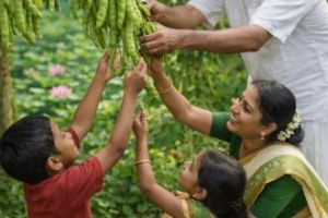 വടകര ഉണരുകയാണ്, പ്രകൃതിയുടെ അമൃതുണ്ണാൻ.