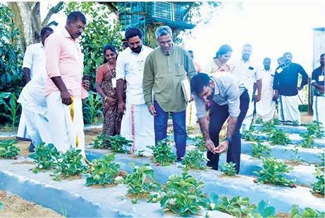 നെല്ലിയാമ്പതി  കാർഷികവിനോദസഞ്ചാരമേളയ്ക്ക് തുടക്കം