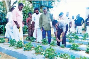 നെല്ലിയാമ്പതി  കാർഷികവിനോദസഞ്ചാരമേളയ്ക്ക് തുടക്കം