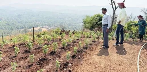 നൂതന കൃഷിരീതികൾ പഠിക്കാം പ്രകൃതിസൗന്ദര്യം ആസ്വദിക്കാം