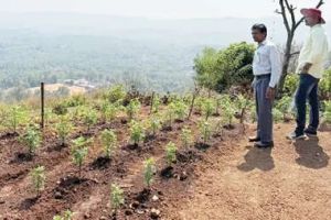 നൂതന കൃഷിരീതികൾ പഠിക്കാം പ്രകൃതിസൗന്ദര്യം ആസ്വദിക്കാം