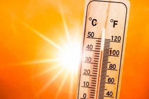 സംസ്ഥാനത്ത് ചൂട് കനക്കുന്നു; യു വി സൂചികയിൽ ഒന്നാമത് ഇടുക്കി, അഞ്ചു ജില്ലകളിൽ മുന്നറിയിപ്പ്