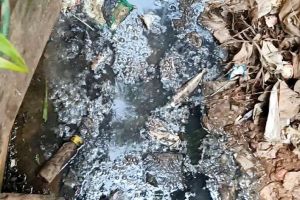 ആരോഗ്യപ്രശ്ന‌ങ്ങളുണ്ടാക്കുന്നതായി പരാതി