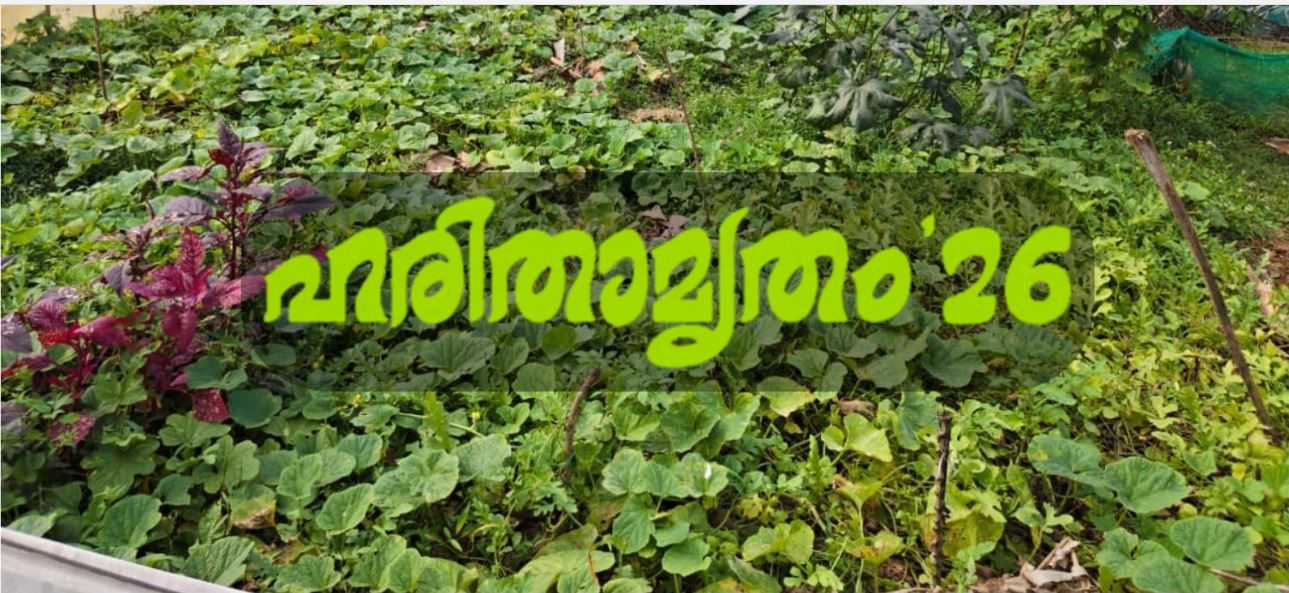 ഹരിതാമൃതം '26: പച്ചക്കറിത്തോട്ട മത്സരം; ശശീന്ദ്രൻ പാറയുള്ള പറമ്പത്ത് ഒന്നാം സ്ഥാനത്ത്