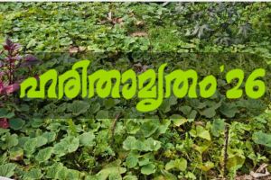 ഹരിതാമൃതം '26: പച്ചക്കറിത്തോട്ട മത്സരം; ശശീന്ദ്രൻ പാറയുള്ള പറമ്പത്ത് ഒന്നാം സ്ഥാനത്ത്