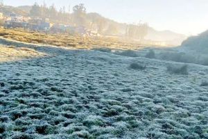 ഊട്ടിയിൽ വീണ്ടും അതിശൈത്യം