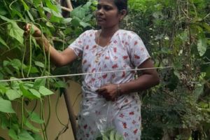 മണ്ണിനെ അറിഞ്ഞ്, വിണ്ണോളം വളരാം: ഹരിതാമൃതത്തിന്റെ സന്ദേശം