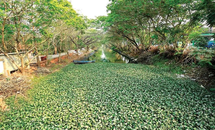 കനോലി കനാൽ ഇനി 'കനാൽസിറ്റി'; ആദ്യഘട്ടത്തിന് 73.21 കോടി, വികസനം അരയിടത്തുപാലം മുതൽ.