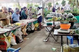 'ഹരിതാമൃതം' വടകരയിൽ ഇന്ന് സമാപിക്കും;