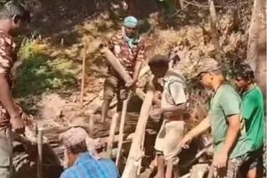 ബ്രഷ് വുഡ് ചെക്ക് ഡാമുകൾ നിർമിച്ച് വനംവകുപ്പ്