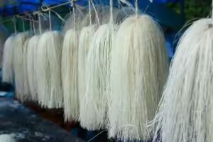 ശബരിമലയിലെ തനിയാ വർത്തനം കൊട്ടിയൂരിലും :ഡോക്ടർ കെ കെ എൻ കുറുപ്പ്