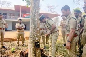 വയനാട്ടിൽ എണ്ണൂറോളം ക്യാമറകൾ സ്ഥാപിക്കും