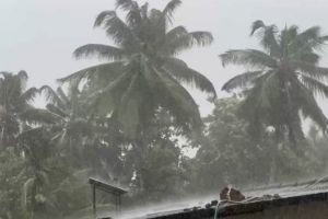 സംസ്ഥാനത്ത് മഴ കനക്കുന്നു; അഞ്ച് ജില്ലകളിൽ ഇന്ന് യെലോ അലർട്ട്