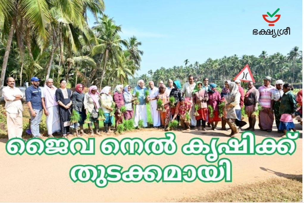 cover-bhakshyasree-nelkrushi