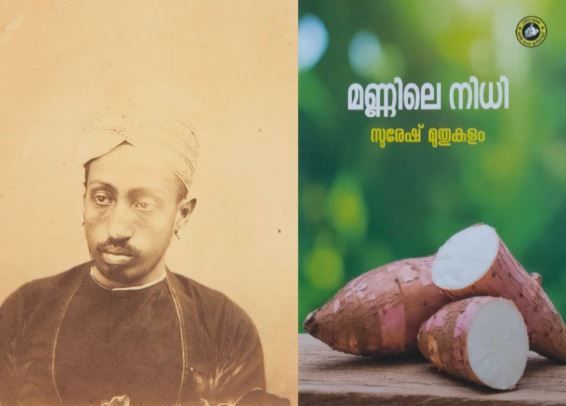 മരച്ചീനിവിളയിലെ രാജകീയ സ്മൃതികൾ: ജവഹർ നഗറിന്റെ മണ്ണിൽ ഇന്നും വേരോടുന്ന 'ശ്രീ അന്നം'  : സുരേഷ് മുതുകുളം