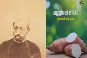 മരച്ചീനിവിളയിലെ രാജകീയ സ്മൃതികൾ: ജവഹർ നഗറിന്റെ മണ്ണിൽ ഇന്നും വേരോടുന്ന 'ശ്രീ അന്നം'  : സുരേഷ് മുതുകുളം