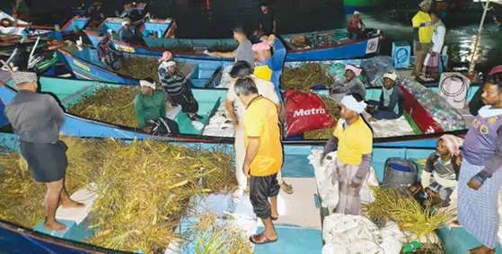 ബേപ്പൂരിൽ കൃത്രിമപാര് ഉപയോഗിച്ച് മത്സ്യബന്ധനം; അഞ്ച് വള്ളങ്ങൾ എൻഫോഴ്‌സ്‌മെന്റ് പിടികൂടി