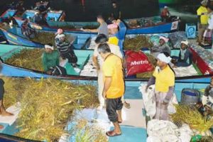 ബേപ്പൂരിൽ കൃത്രിമപാര് ഉപയോഗിച്ച് മത്സ്യബന്ധനം; അഞ്ച് വള്ളങ്ങൾ എൻഫോഴ്‌സ്‌മെന്റ് പിടികൂടി